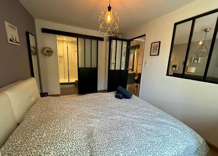 Confort Appartement Proche Gare Et Centre Strasbourg